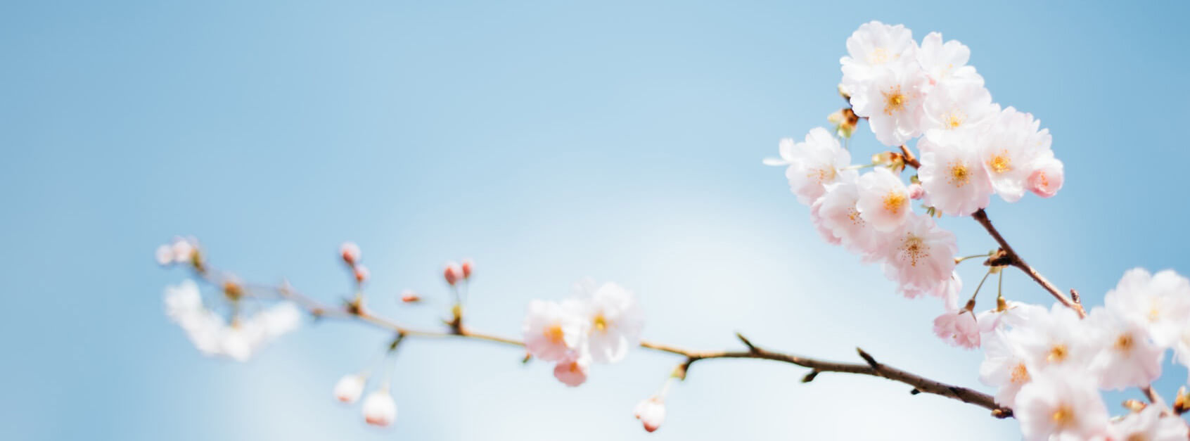 易文
